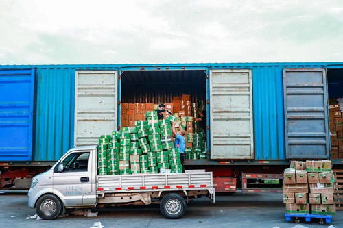 菜鸟网络加速全国24小时达服务，21省乡村物流实现全面提速